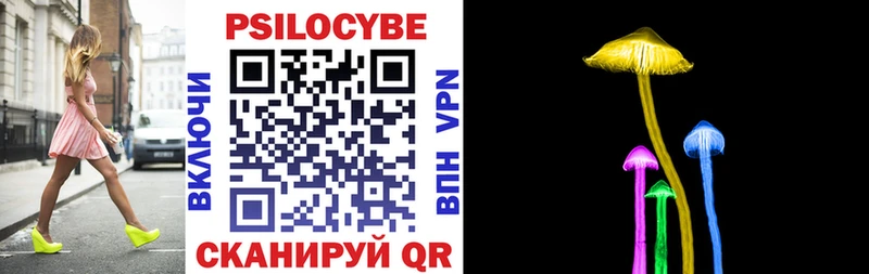 Галлюциногенные грибы Psilocybine cubensis  Мичуринск 